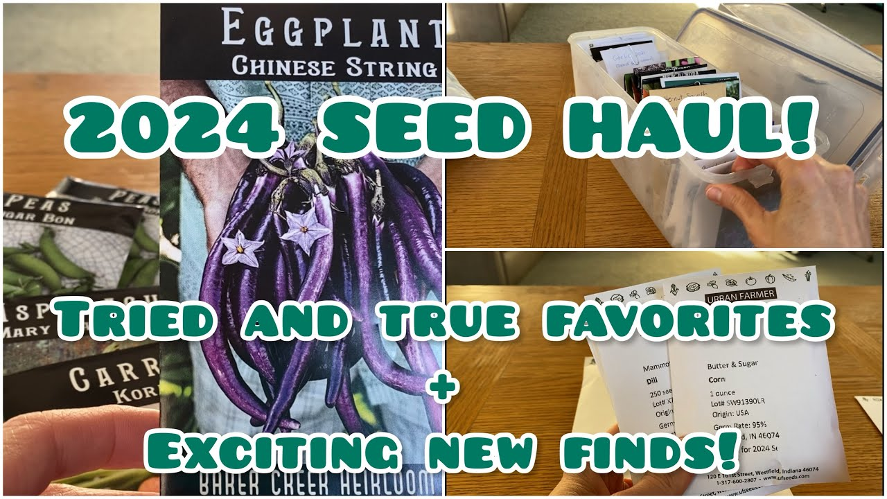 2024 Seed Haul (Favorites and New Varieties)